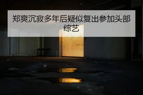 郑爽沉寂多年后疑似复出参加头部综艺